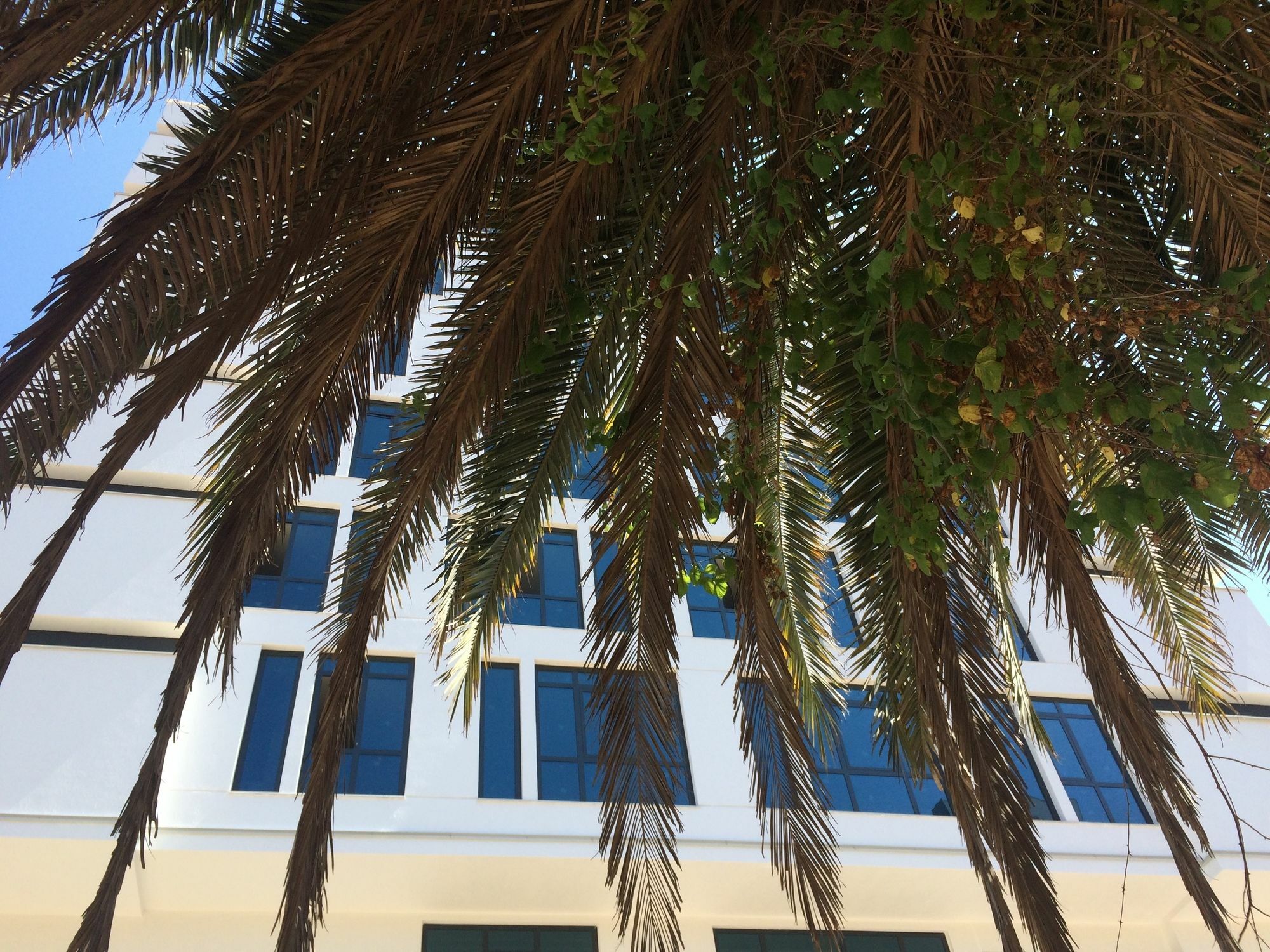 Aselia Hotel Trabzon Exteriér fotografie